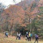 IMG_9274