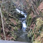 IMG_9299