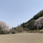 IMG_0401
