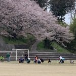 IMG_0411