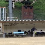 IMG_0414