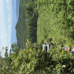 IMG_1152